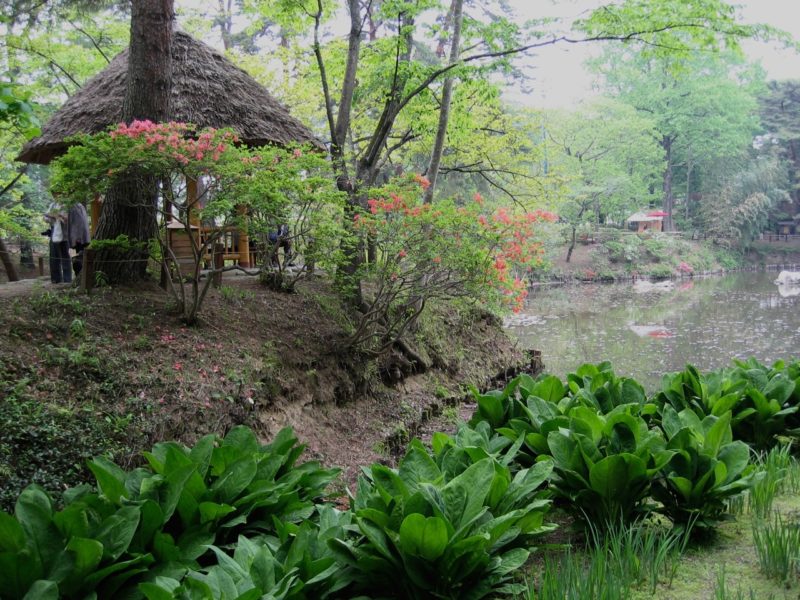 須賀川牡丹園